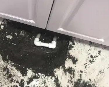 梁子湖查漏水哪家好
